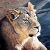 “Se dorer au soleil” - 30x30 - Huile sur toile